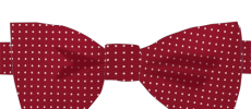Noeud papillon