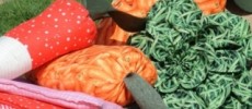 Polochons légumes