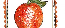 Mémory fruits et légumes