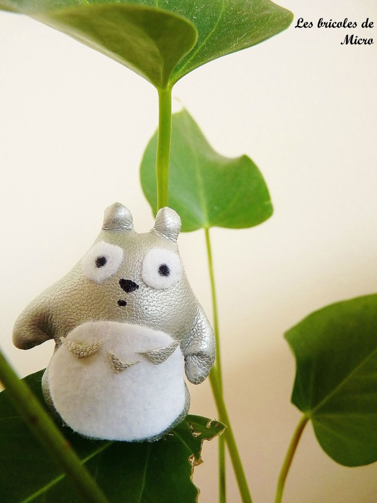 doudou totoro