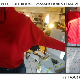 Pull manches chauve souris