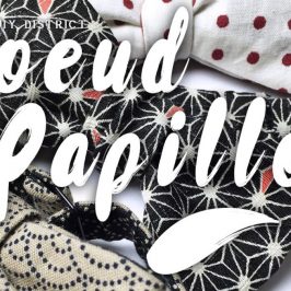 Nœud Papillon Facile