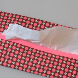 Etui à mouchoirs