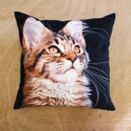 Housse de coussin à fermeture invisible