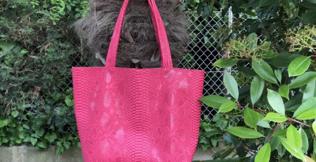 Sac Dragon – Cabas pour débutant