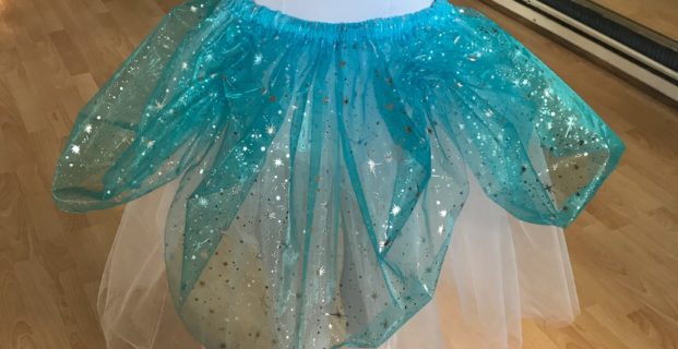 Tutu de danse Reine des neiges