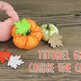 Citrouilles en tissu