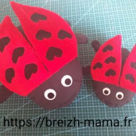 Doudou coccinelle