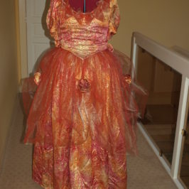 Robe de bal pour Versailles