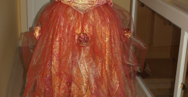 Robe de bal pour Versailles