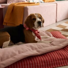 Coussin moelleux pour chien